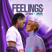 Feelings (Remix) [feat. Jada Kingdom] song art