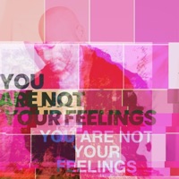 You Are Not Your Feelings - Single - Craig Wedren