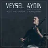 Veysel Aydın - Kıyma Felek