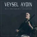 Kıyma Felek