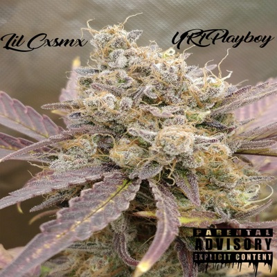 Hemp (feat. YRT Playboy) - Single