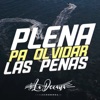 Plena Pa' Olvidar Las Penas - Single