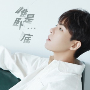 誰是臥底 - Single