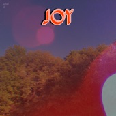 L.B.C. - Joy