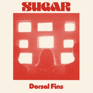 Sugar - Single