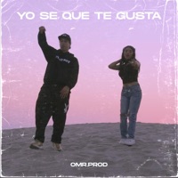 Yo Se Que Te Gusta (feat. Deniss) - Single - Leolexx