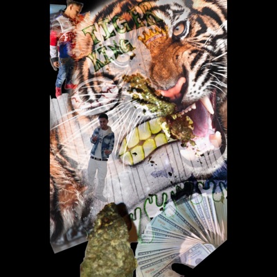 luhxhivo - Tiger King