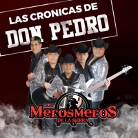 Las cronicas de Don Pedro - Single - Los Meros Meros de la Sierra