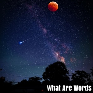 What Are Words - Single