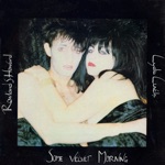 Rowland S. Howard & Lydia Lunch - Some Velvet Morning