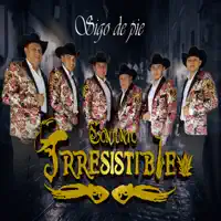 Sigo de Pie — Conjunto Irresistible