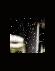 Listen to Ricardo Melendez, watch music videos, read bio, see tour dates & more!