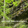 Woodland Water Sounds - Nature Dreamscapes