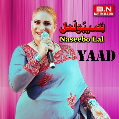 BN BUREWALA HD - Yeh Jo Sili Sili Andi Ae Hawa Naseebo Lal