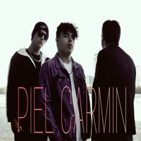 Piel Carmin (feat. ÆLFABETA, Gordon Styla & Rex O.B.) - Single - Elioz Dezic