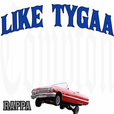 Like Tygaa - Single