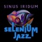 Mocca - Sinus Iridum lyrics