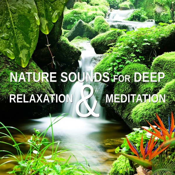 Nature Sounds for Deep Relaxation & Meditation: Music to Quiet Your Mind, Blissful Sleep, Sooth Your Soul, Reiki Healing & Yoga