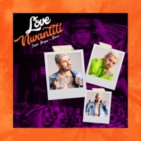 Love Nwant Brega Funk - Single - Pedro Borges