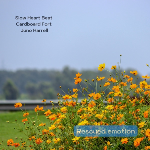 Rescued Emotion - Single