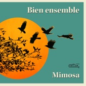 Mimosa - Bonheur