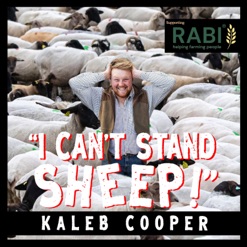 I CAN'T STAND SHEEP cover art