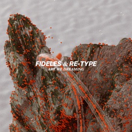 Are We Dreaming Fideles & Re-Type