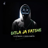 Ditla Ja Fatshe (feat. Skoen Pampiri) artwork