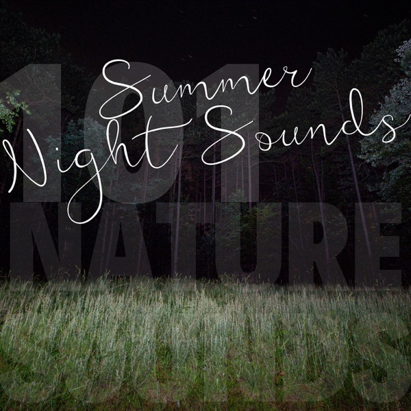 Summer Night Sounds