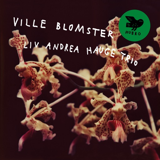 Album artwork