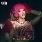 She's such a Bitch artwork