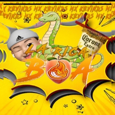 La Rica Boa (Remix) [Remix] - Single