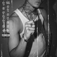 Motores - Single - Tertto