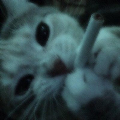 first time (feat. taiketsu & RHINOO!) - Single