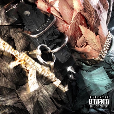 Money Maker (feat. Robless & XXanche$) - Single