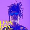 Levadas de Brown (DJ Mix)