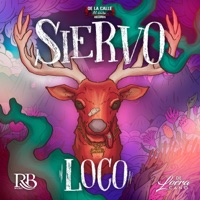 Siervo Loco - Single - De Loera Cano