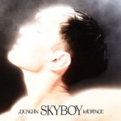 Skyboy artwork