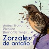 Zorzales De Antaño - Anibal Troilo Pichuco - Barrio De Tango