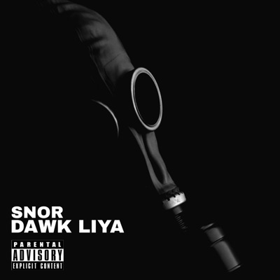 SNOR 91 - Dawk Liya