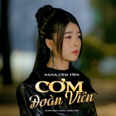 Cơm Đoàn Viên (Lofi Version) artwork