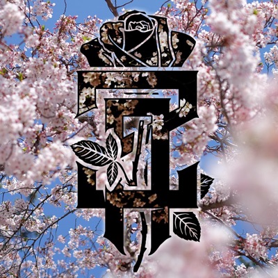 What We Gotta Lose (feat. hoepless) - Single