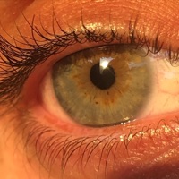 Tomorrow - Single - Tallboyshort