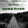 Down River (feat. Big Henri) - Single