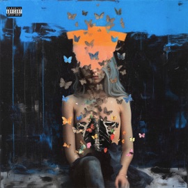 Trust My Gut Parsa & Hoomaan