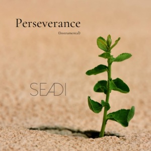 Perseverance - Single
