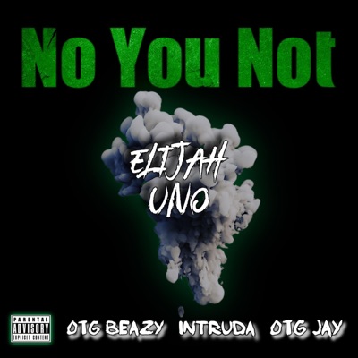 No You Not (feat. OTG Beazy, Intruda & OTG Jay) - Single