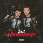 Tökmindegy artwork