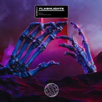 Flashlights - Single - SXL1D