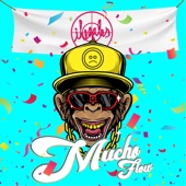 Mucho Flow (feat. Happy Colors) artwork